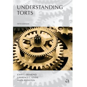 UNDERSTANDING TORTS